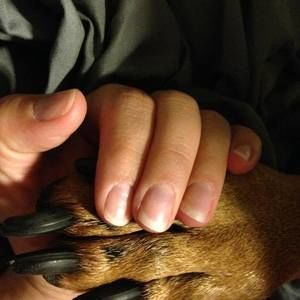 Meet your Posher, Julie